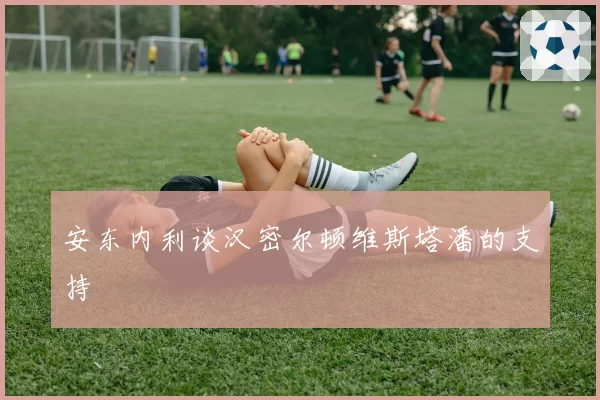 安东内利谈汉密尔顿维斯塔潘的支持