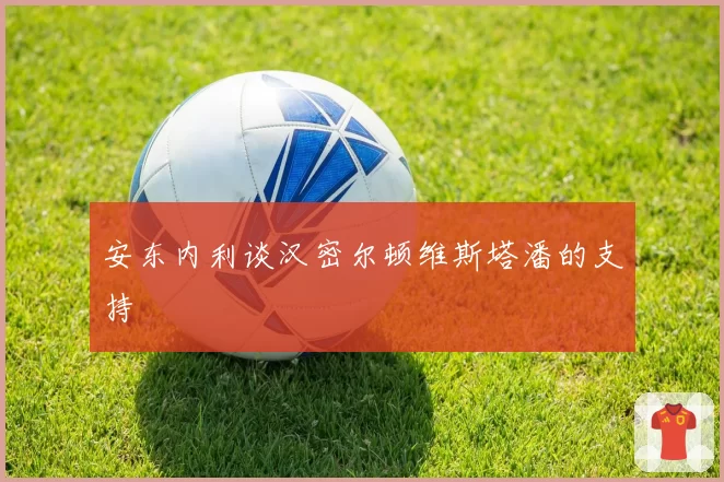 安东内利谈汉密尔顿维斯塔潘的支持