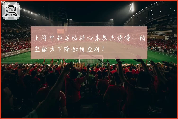 上海申花后防核心朱辰杰伤停，防空能力下降如何应对？