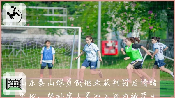 山东泰山球员倒地未获判罚后情绪失控,替补席人员冲入场内被罚出场